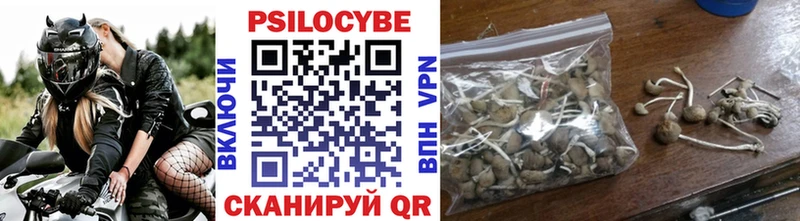 где продают   Инза  Псилоцибиновые грибы мицелий 